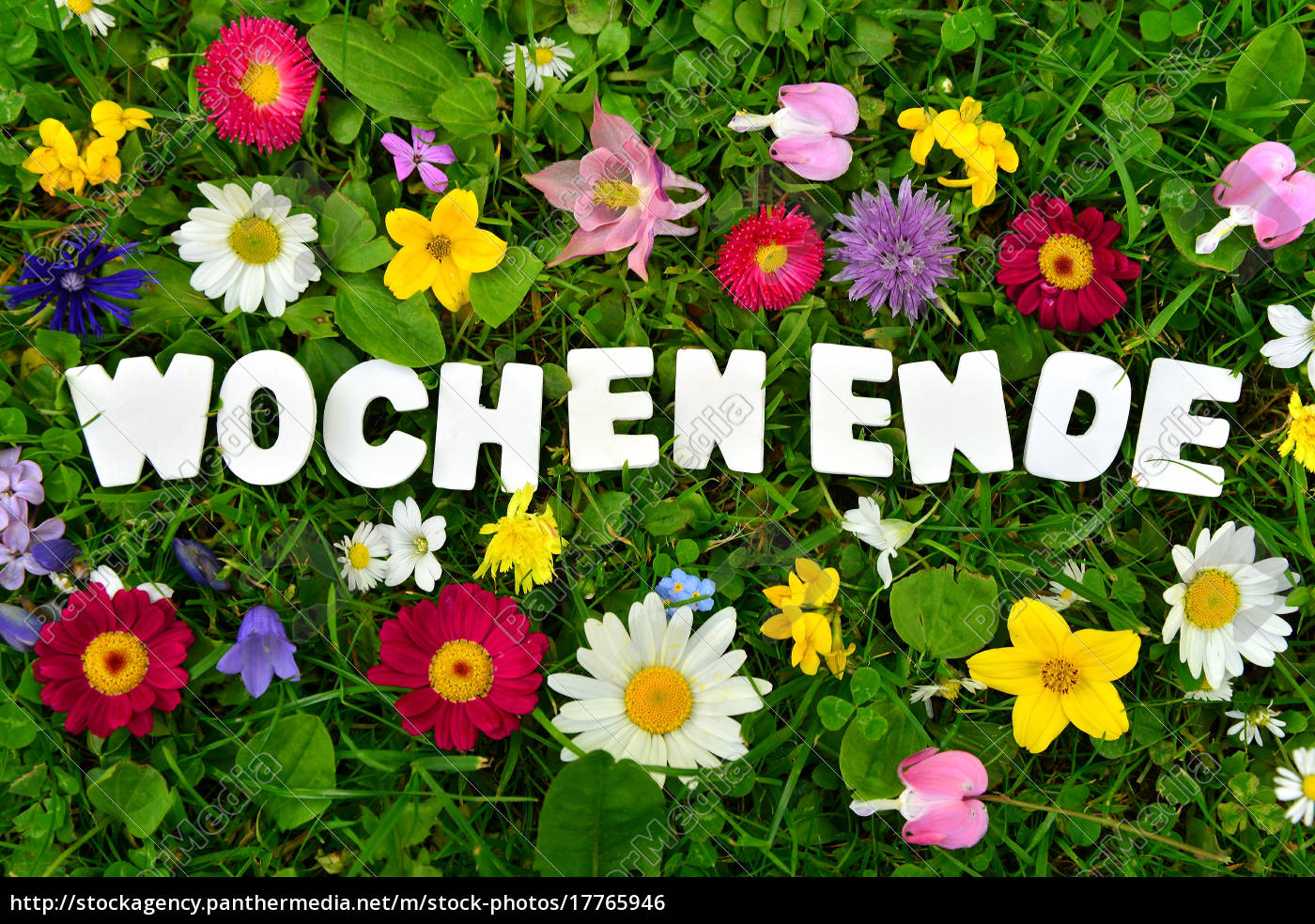 Schönes Wochenende Blumen Bilder:  A Colorful Journey into Drawing