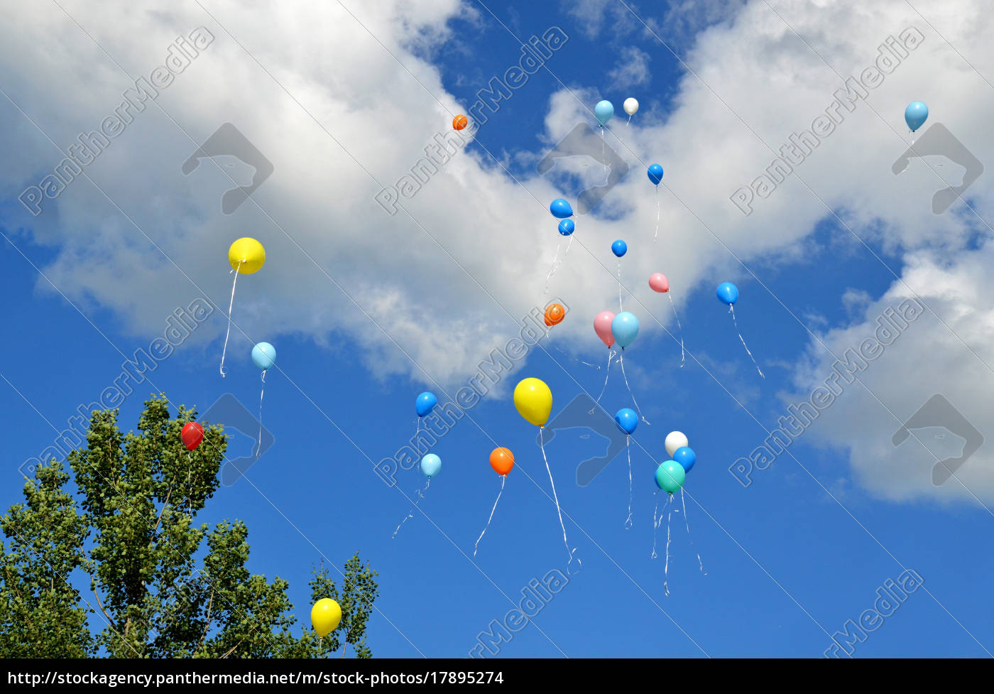 Bunte Luftballons Steigen In Den Himmel Stock Photo Bildagentur Panthermedia