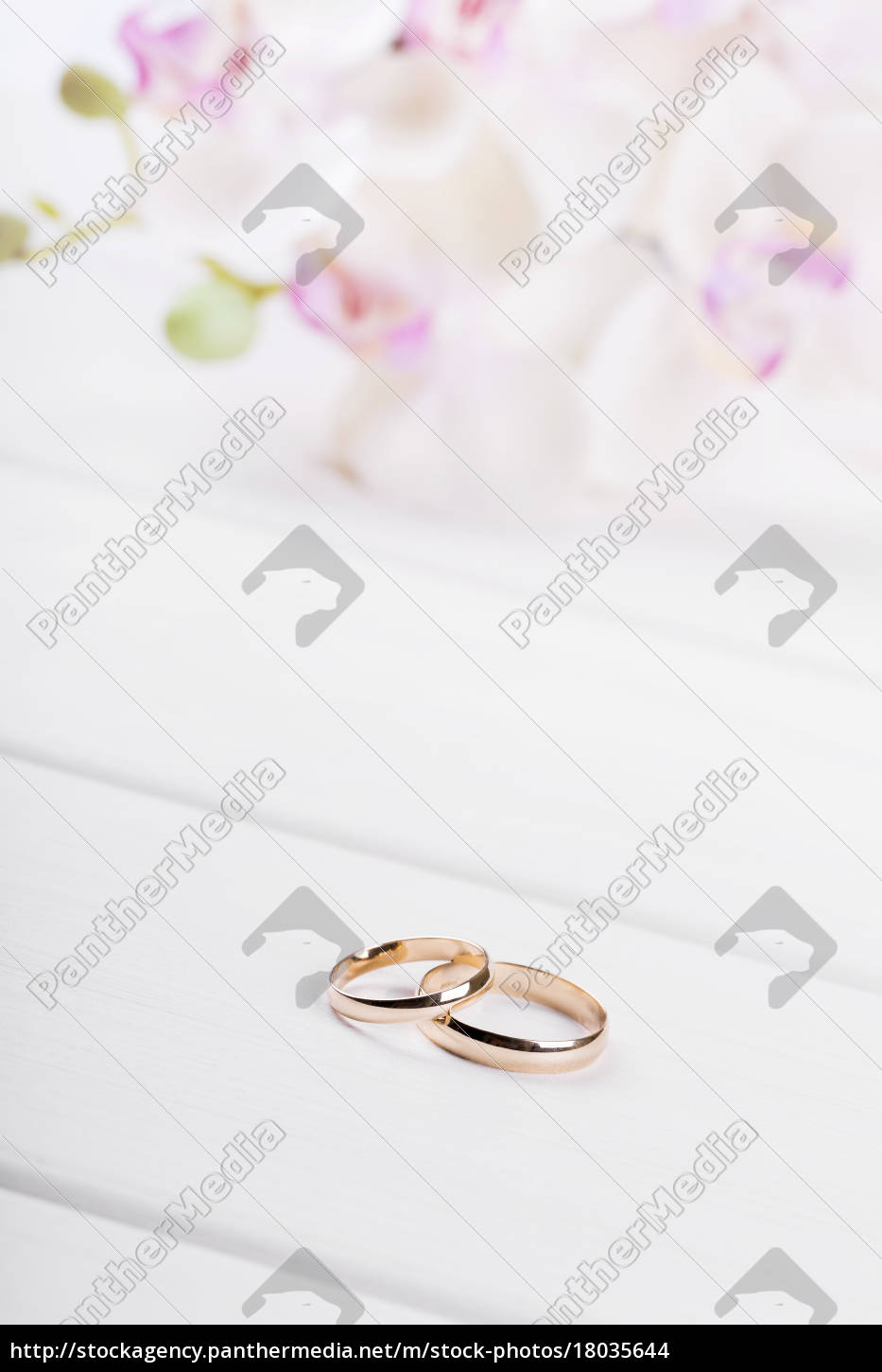 Ringe Der Goldenen Hochzeit Mit Blumen Auf Weissem Lizenzfreies Foto Bildagentur Panthermedia