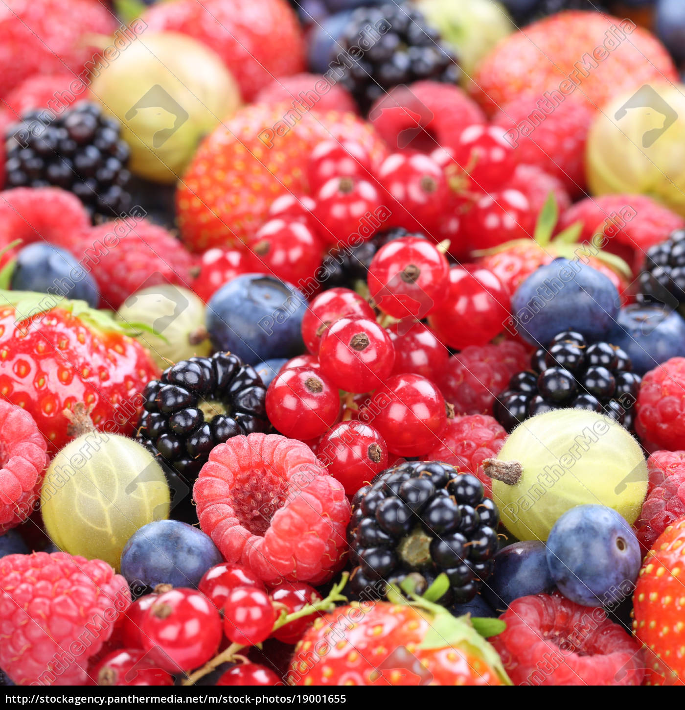 Beeren Beere Frucht frische bio Früchte Erdbeeren - Stockfoto ...