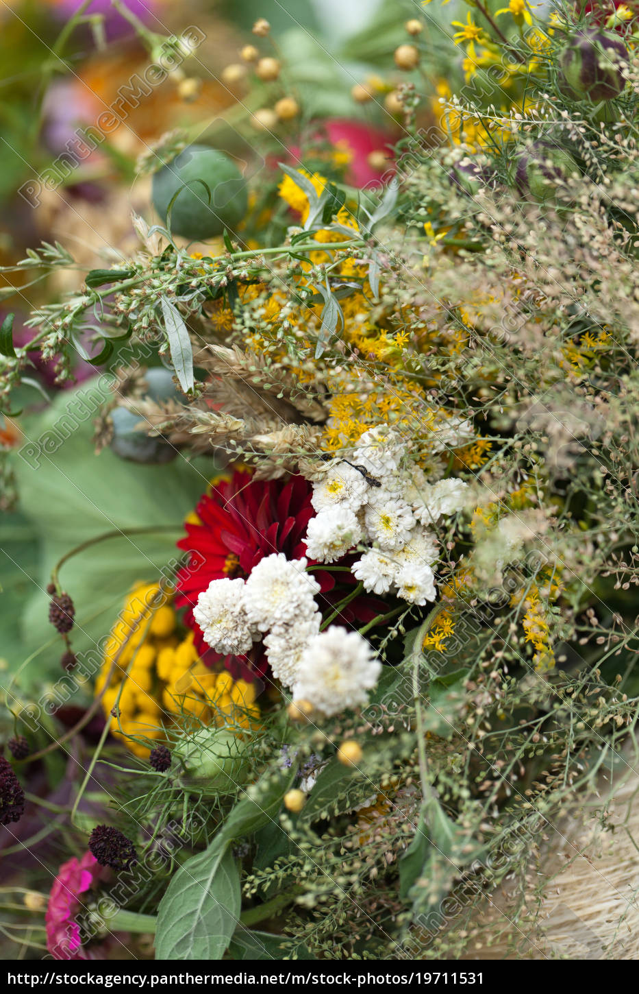 Schone Blumenstrausse Von Blumen Und Krautern Lizenzfreies Bild Bildagentur Panthermedia