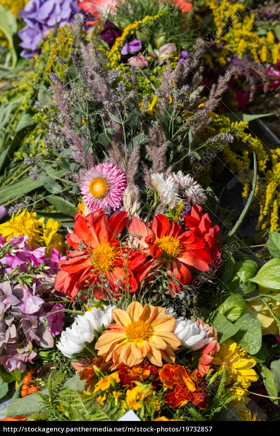 Schone Blumen Und Krauterstrausse Stockfoto Bildagentur Panthermedia