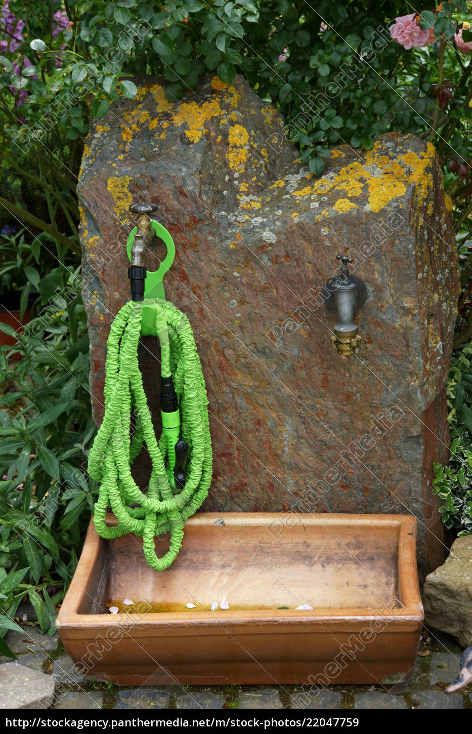 Schrumpfschlauch An Der Wasserstelle Im Garten Stockfoto