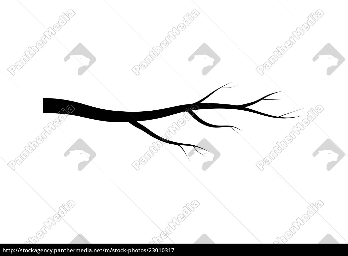 Nackte Zweig Baum Silhouette Vektor Symbol Design Lizenzfreies Bild Bildagentur Panthermedia