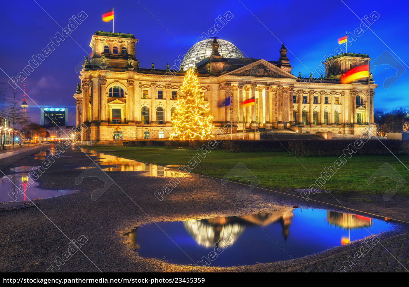 reichstag und weihnachtsbaum in berlin Stockfoto 23455359