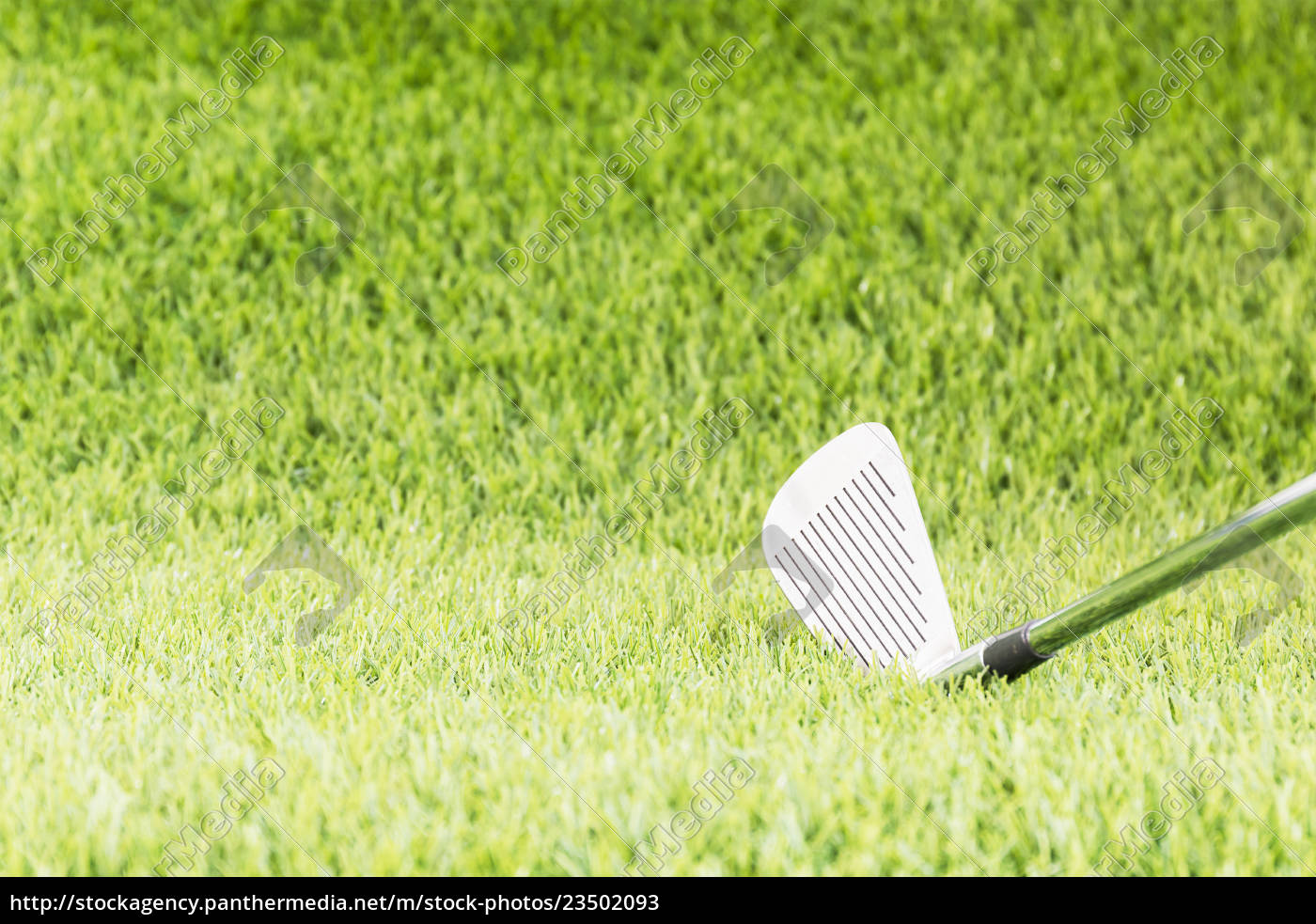 Golf Club On Green Grass Stockfoto 23502093 Bildagentur Panthermedia