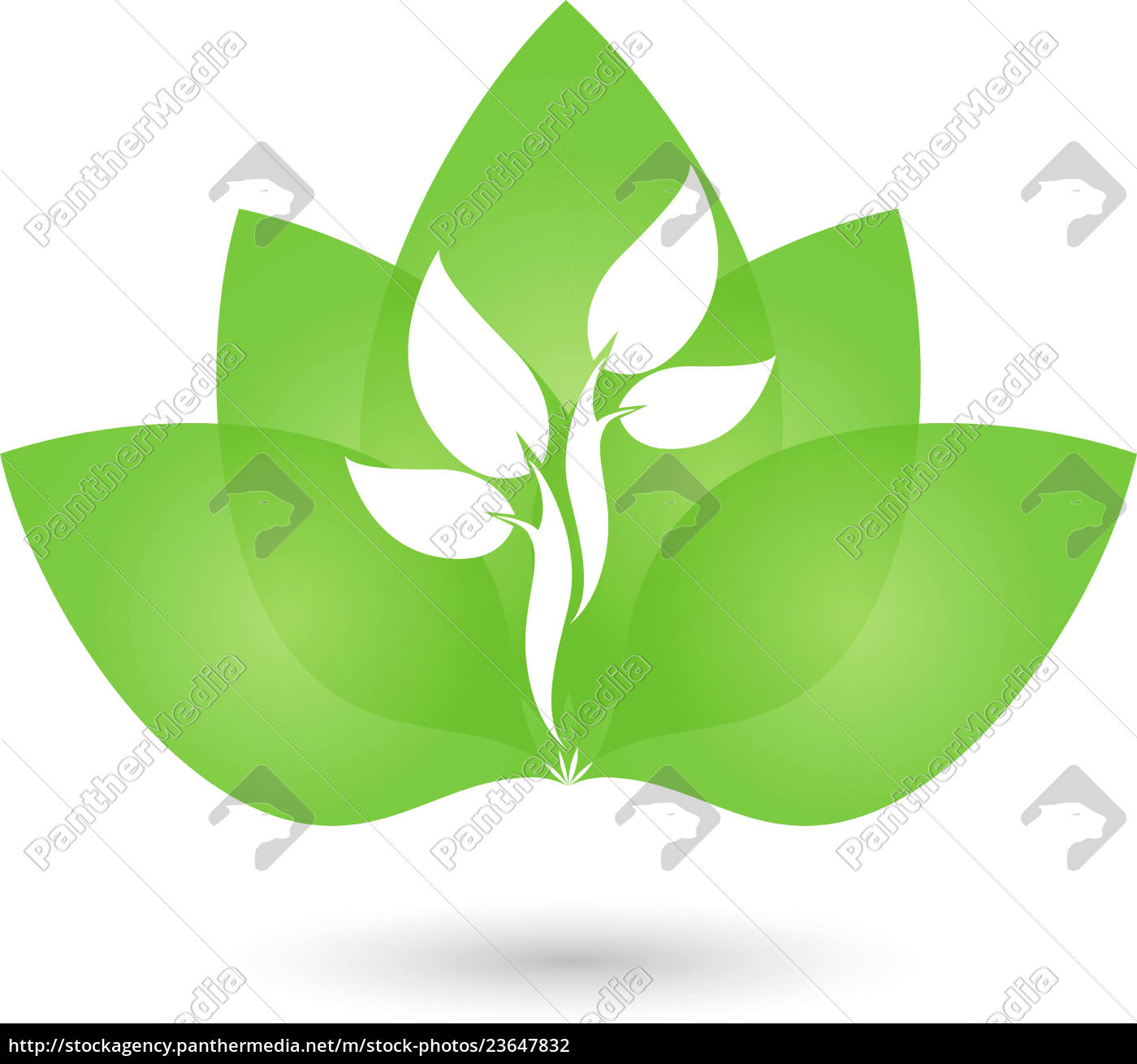 Blatter Baum Pflanze Heilpraktiker Logo Lizenzfreies Foto Bildagentur Panthermedia