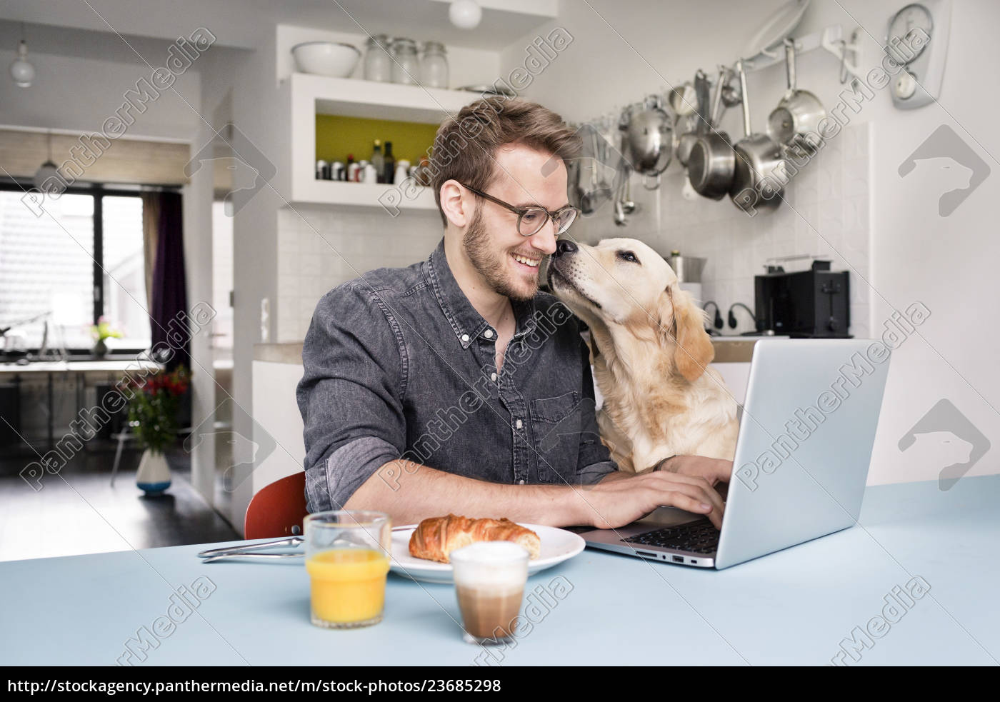 Lächelnder Mann mit Hund mit Laptop in der Küche zu Stock Photo