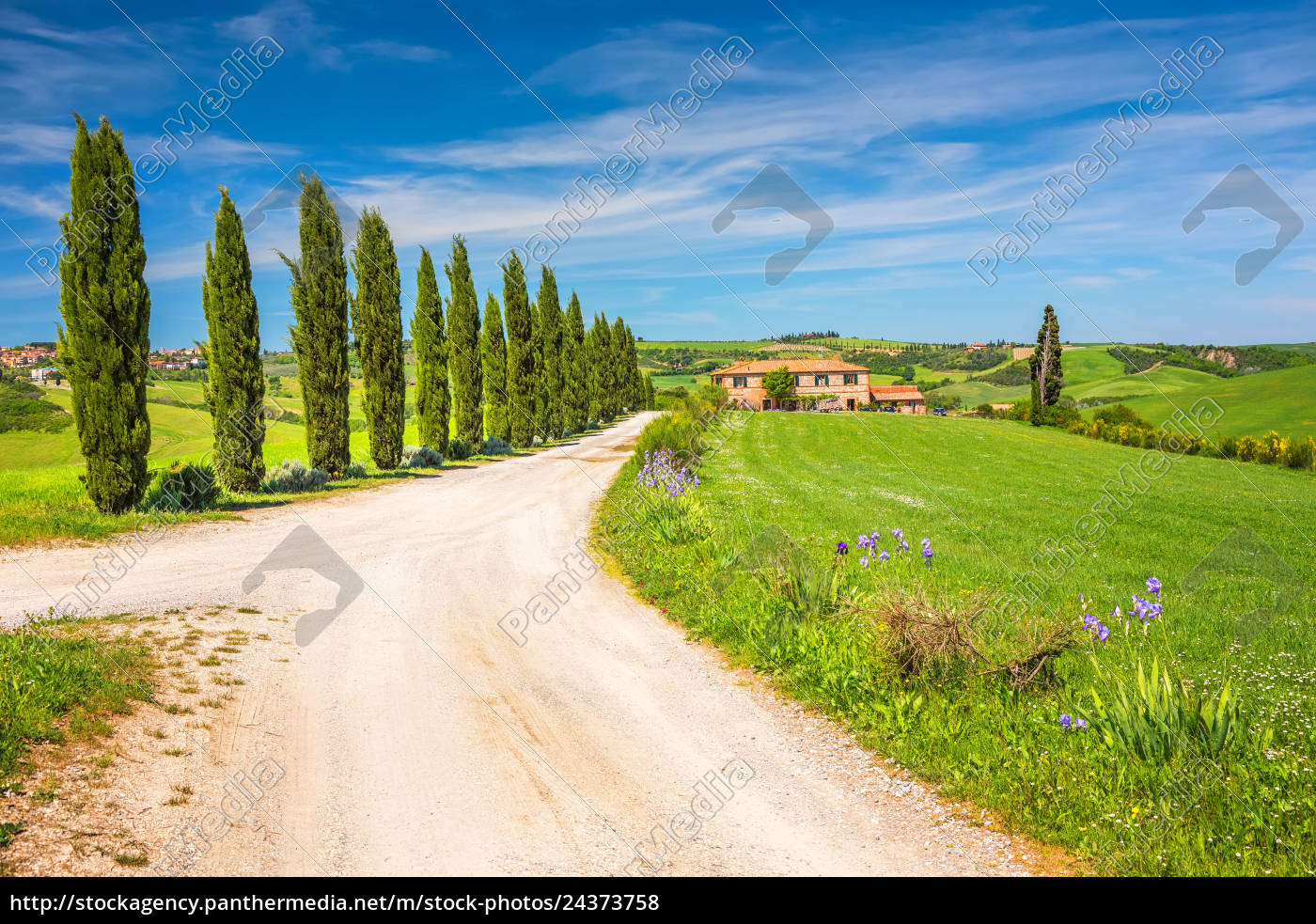 Toskana Landschaft Im Fruhling Stockfoto Bildagentur Panthermedia