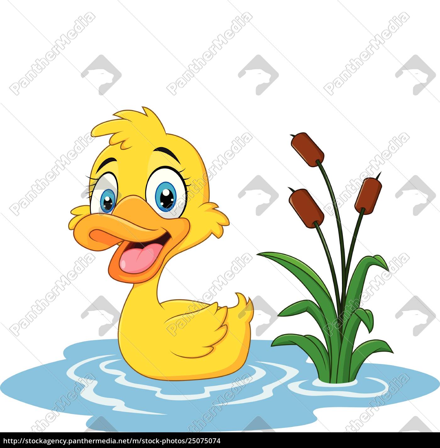 lustige ente der karikatur schwimmt auf wasser Stockfoto 25075074