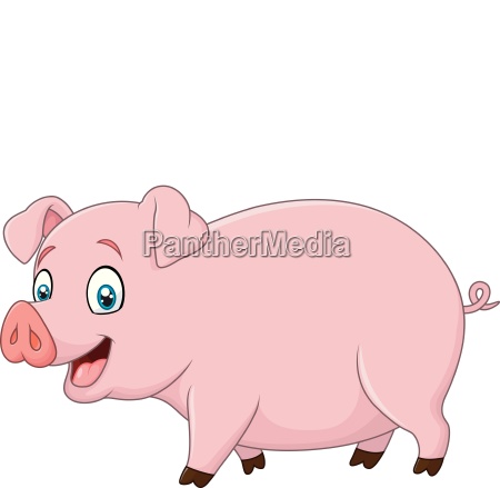 Cartoon Gluckliches Schwein Auf Weissem Hintergrund Stock Photo 25076414 Bildagentur Panthermedia