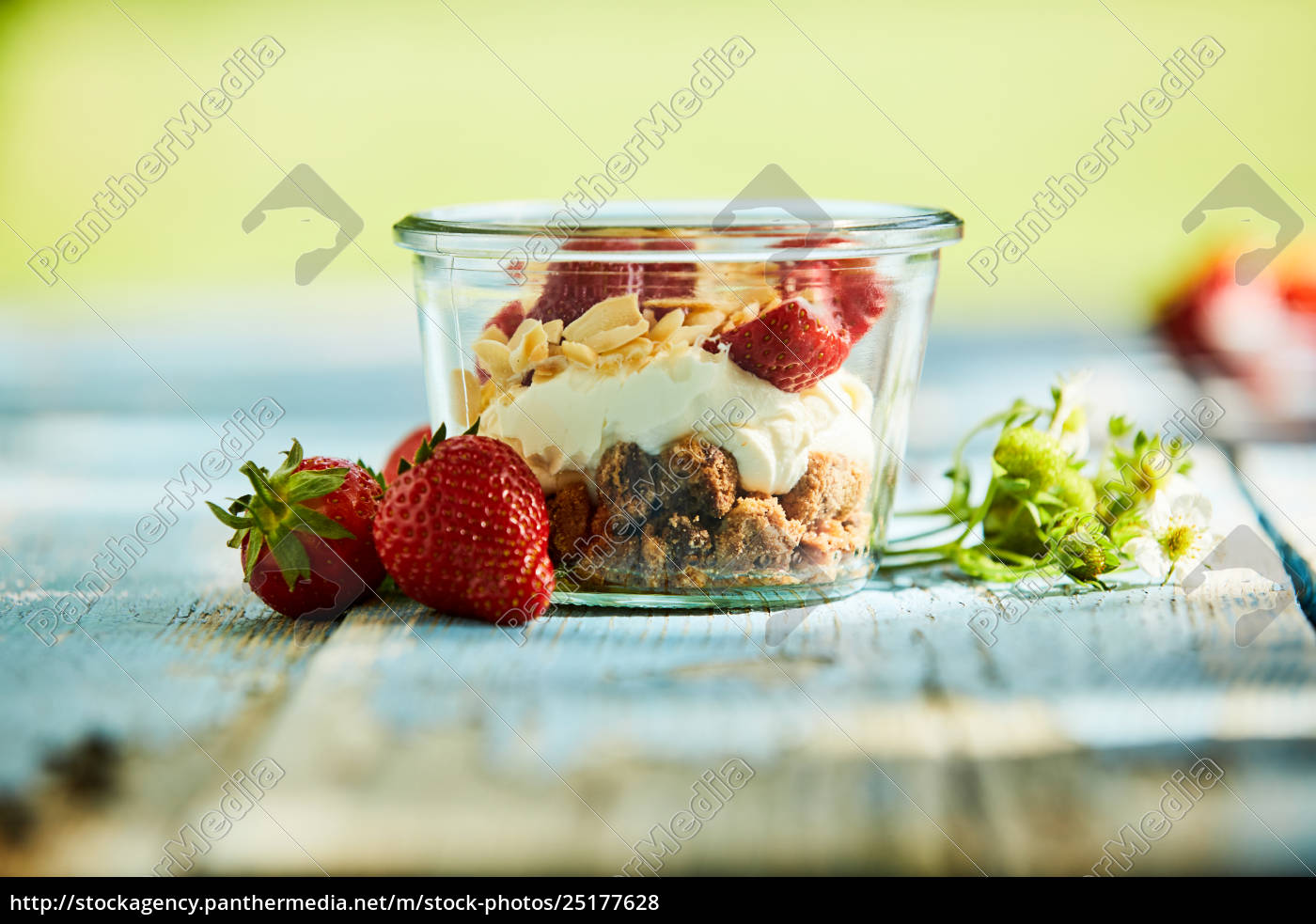 Gesunder Joghurt Beeren Und Musli Smoothie Schale Lizenzfreies Foto Bildagentur Panthermedia