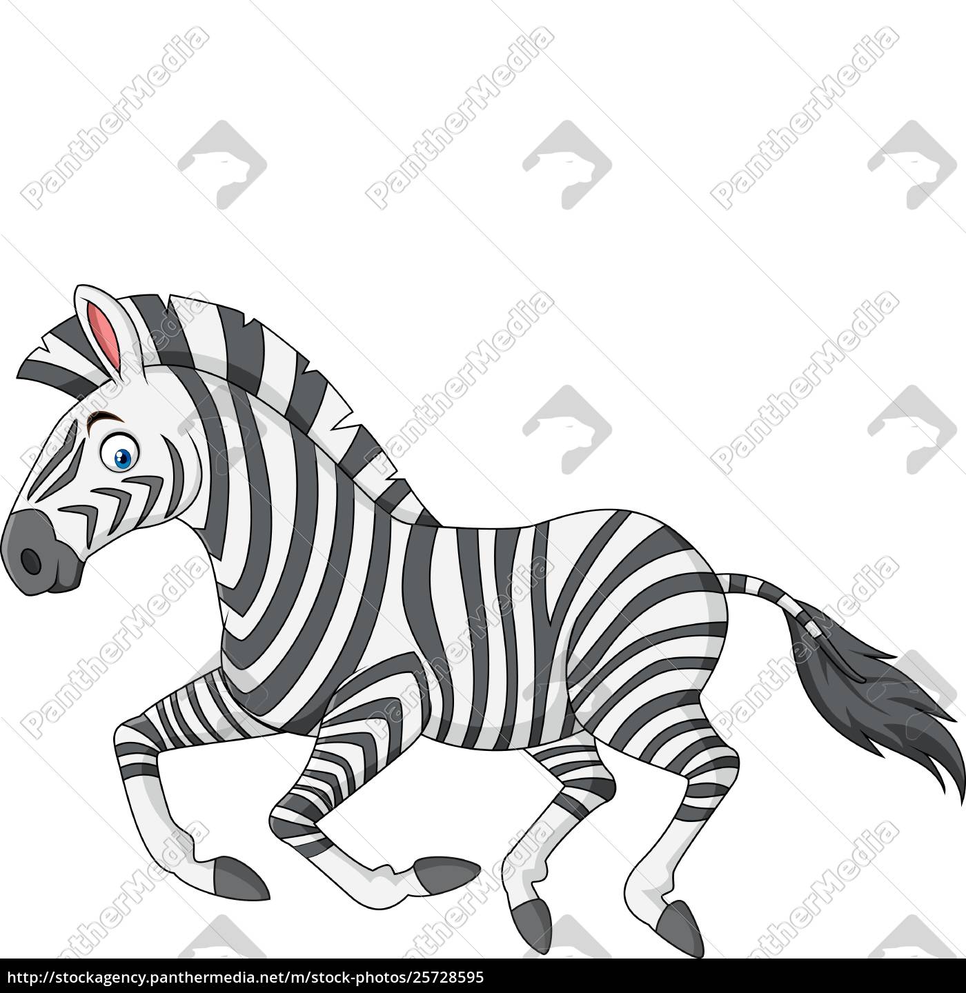 Cartoon Zebra Laufen Lizenzfreies Bild Bildagentur Panthermedia