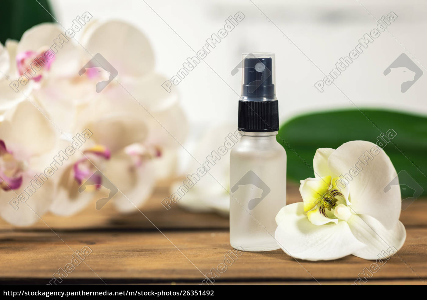 Blumen Duften Parfum Sprayer Mit Orchidee Blume Lizenzfreies Foto 26351492 Bildagentur Panthermedia