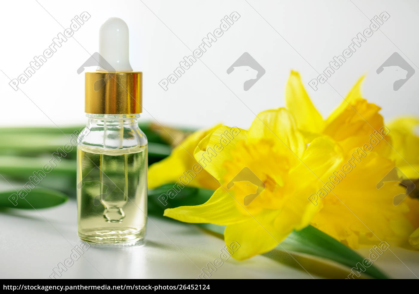 Narzislil Parfum Olflasche Und Blumen Auf Weiss Lizenzfreies Foto Bildagentur Panthermedia