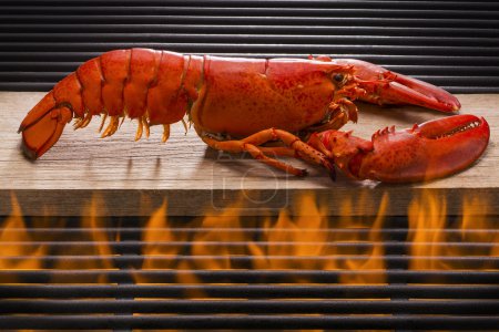 Frischer Roter Hummer Auf Einem Holzplanken Grill Lizenzfreies Bild B66654127 Bildagentur Panthermedia